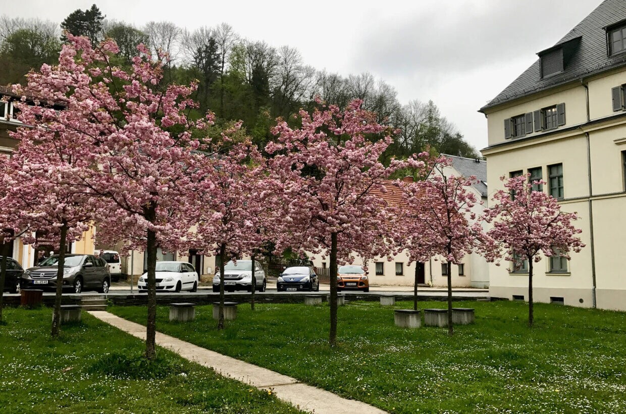 Rund um Glashütte